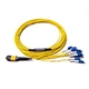 MPO to SC Fiber Optic Patch Cord