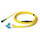 MPO to SC Fiber Optic Patch Cord