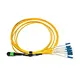 MPO to SC Fiber Optic Patch Cord