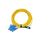 MPO to SC Fiber Optic Patch Cord